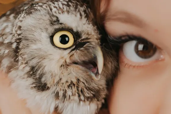 PlayHub Casino Tacaíocht